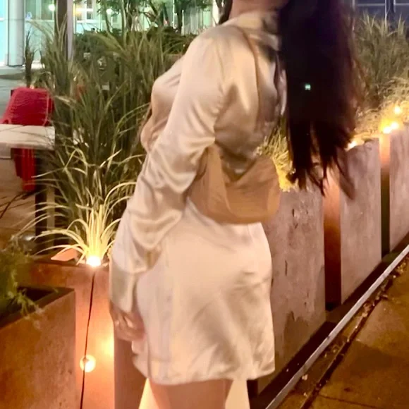 Alaine Silk Dress - Champaign - Reformation - Picture 4 of 5